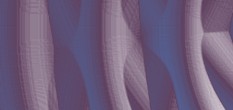 domain windows