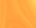 website domain name