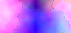 ws domain