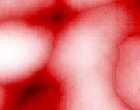domain of