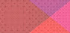 domain name server