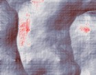 domain registrierungsstelle