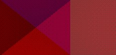 net domain